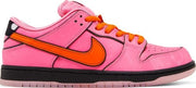 Nike SB Dunk Low 'The Powerpuff Girls Blossom'
